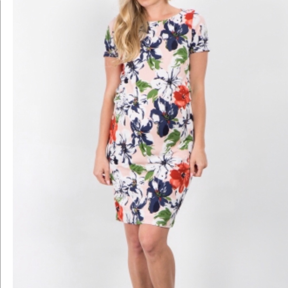 ShopPinkBlush maternity floral dress
